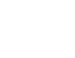 Hand drawn element 1